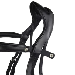 EcoRider Freedom Comfort Bridle -Finest Equestrian Supplies eco006 10 4 png