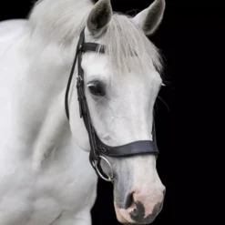 EcoRider Freedom Comfort Bridle -Finest Equestrian Supplies eco006 4 3 jpg