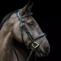 EcoRider Ecosoft Luxe Bridle 40 EcoRider Ecosoft Luxe Bridle -Finest Equestrian Supplies eco007 2 1 4 jpg