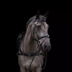 EcoRider Ecosoft Luxe Bridle 33 EcoRider Ecosoft Luxe Bridle -Finest Equestrian Supplies eco007 3 1 jpg