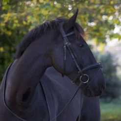 EcoRider Ecosoft Luxe Bridle 32 EcoRider Ecosoft Luxe Bridle -Finest Equestrian Supplies eco007 5 2 jpg