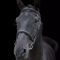 EcoRider Classic Comfort Bridle -Finest Equestrian Supplies eco040 4 3 jpg