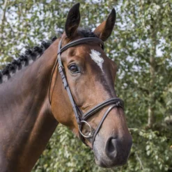 EcoRider Classic Comfort Bridle -Finest Equestrian Supplies eco040 5 1 1 jpg