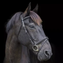 EcoRider Classic Comfort Bridle -Finest Equestrian Supplies eco040 6 1 1 jpg