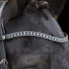 EcoRider Freedom Sapphire Browband -Finest Equestrian Supplies eco042 1 2 jpg
