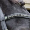 EcoRider Freedom Browband -Finest Equestrian Supplies eco043 1 jpg