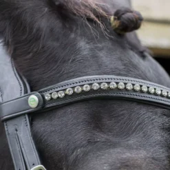 EcoRider Freedom Browband -Finest Equestrian Supplies eco043 4 jpg