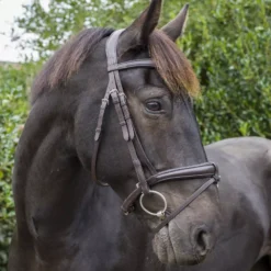 EcoRider Ecosoft Luxe Bridle 31 EcoRider Ecosoft Luxe Bridle -Finest Equestrian Supplies eco702br 1 jpg