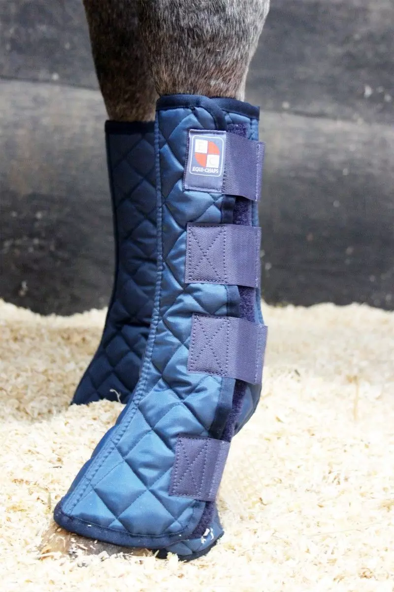 Equilibrium Equi-Chaps Stable Chaps 4 Equilibrium Equi-Chaps Stable Chaps - Image 2