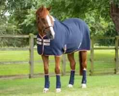 Premier Equine PremTex Horse Cooler Rug -Finest Equestrian Supplies facebook premtex cooler navy 8 jpg