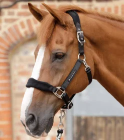 Premier Equine Fleece Padded Horse Head Collar -Finest Equestrian Supplies fleece padded horse head collar black 1 jpg