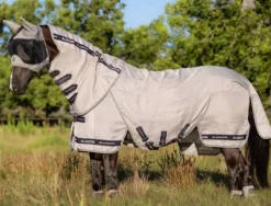 Lemieux Kudos Gladiator Fly Rug -Finest Equestrian Supplies fly2022 009 hr 10 1 jpg