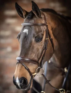 LeMieux Competition Flash Bridle -Finest Equestrian Supplies g0a7025 1 3 jpg
