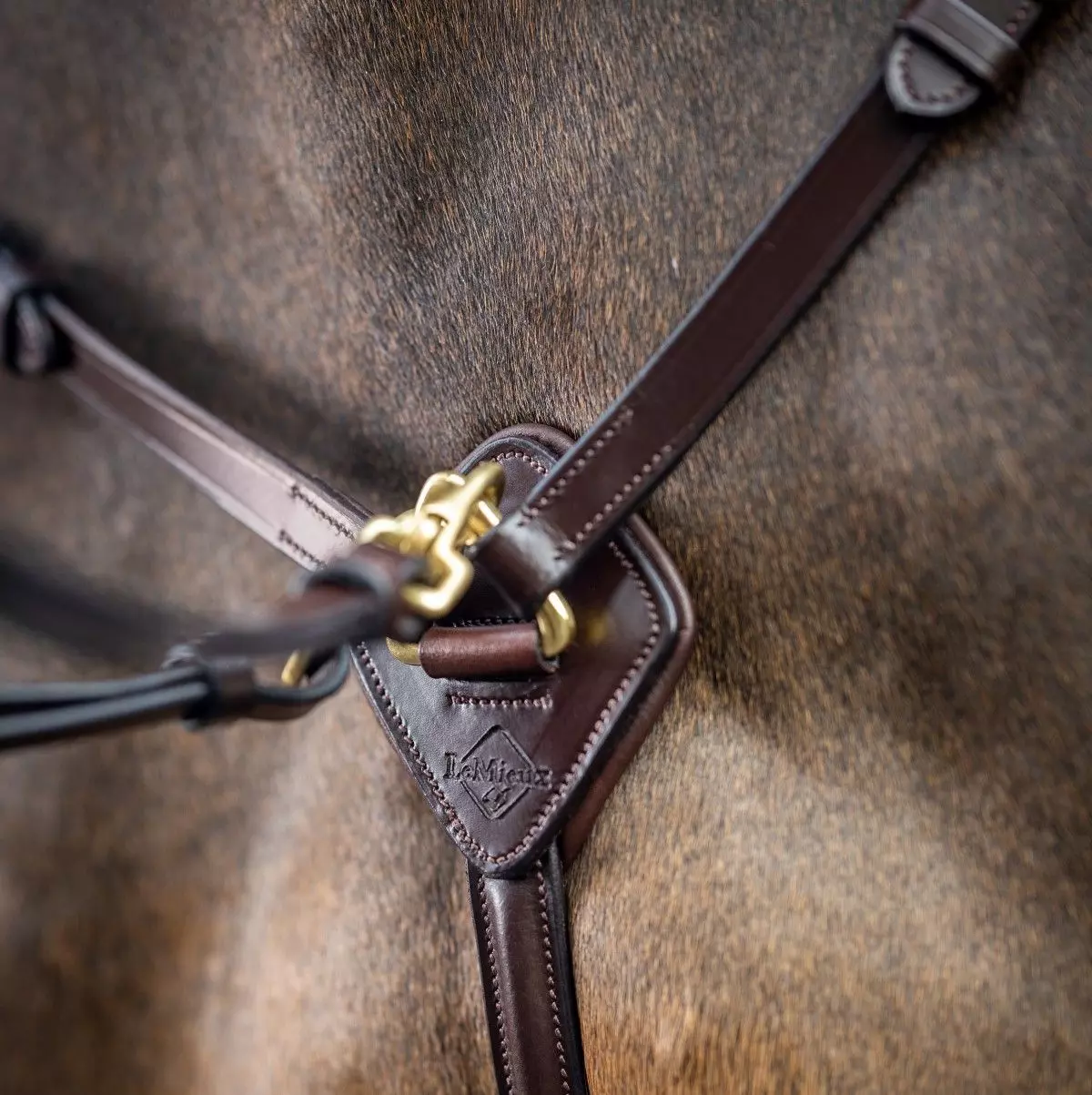 LeMieux Breastplate (D-Ring Attachment) 17 LeMieux Breastplate (D-Ring Attachment) - Image 15