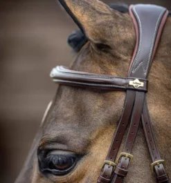 LeMieux Competition Flash Bridle -Finest Equestrian Supplies g0a7191 2 jpg