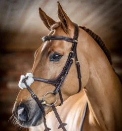 LeMieux Grackle Bridle -Finest Equestrian Supplies g0a7257 2 jpg
