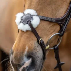 LeMieux Grackle Bridle -Finest Equestrian Supplies g0a7269 3 jpg