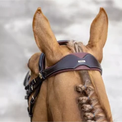 LeMieux Competition Flash Bridle -Finest Equestrian Supplies g0a7434 2 jpg