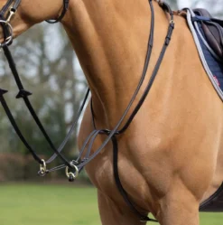 LeMieux Running Martingale -Finest Equestrian Supplies g0a7444 1 3 jpg