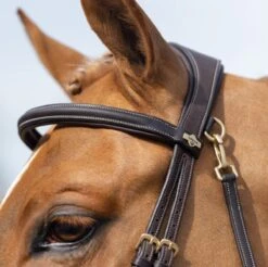 LeMieux Work Bridle -Finest Equestrian Supplies g0a7510 2