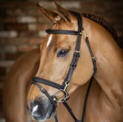 LeMieux Work Bridle -Finest Equestrian Supplies g0a7546 4