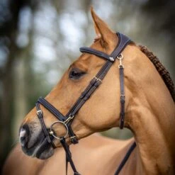 LeMieux Work Bridle -Finest Equestrian Supplies g0a7563 1