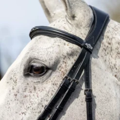 LeMieux Competition Flash Bridle -Finest Equestrian Supplies g0a7614 2 jpg