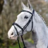 LeMieux Competition Flash Bridle -Finest Equestrian Supplies g0a7631 2 jpg