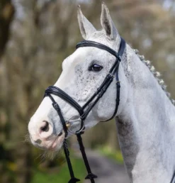 LeMieux Competition Flash Bridle -Finest Equestrian Supplies g0a7631 3 jpg