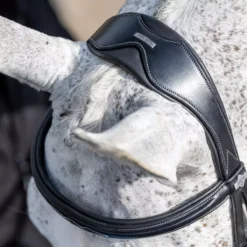 LeMieux Competition Flash Bridle -Finest Equestrian Supplies g0a7648 4 jpg