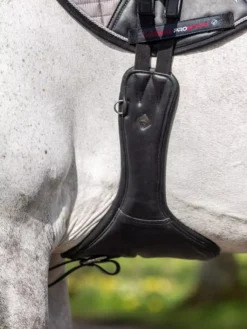 LeMieux Gel-Tek Anatomic Long Stud Girth 38 LeMieux Gel-Tek Anatomic Long Stud Girth -Finest Equestrian Supplies g0a7671 1 1 1 jpg
