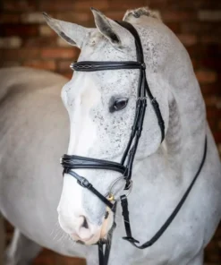 LeMieux Competition Flash Bridle -Finest Equestrian Supplies g0a7729 2 jpg