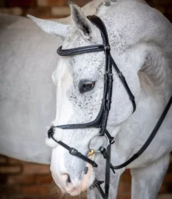 LeMieux Grackle Bridle -Finest Equestrian Supplies g0a7755 3 jpg