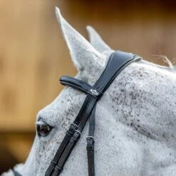 LeMieux Grackle Bridle -Finest Equestrian Supplies g0a7802 4