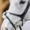 LeMieux Grackle Bridle -Finest Equestrian Supplies g0a7805 3 jpg
