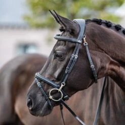 LeMieux Work Bridle -Finest Equestrian Supplies g0a7871 2