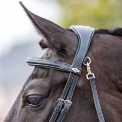 LeMieux Work Bridle -Finest Equestrian Supplies g0a7900 2
