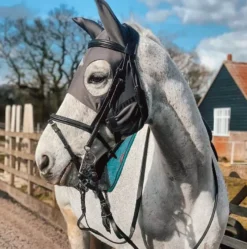 Fenwick Liquid Titanium Mask With Ears - Velcro -Finest Equestrian Supplies greymaskears 1024x1024 2x 1 4 jpg