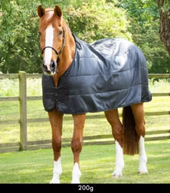 Premier Equine 200g Horse Rug Liner 38 Premier Equine 200g Horse Rug Liner -Finest Equestrian Supplies horse rug liner black 1 1 6 1 jpg
