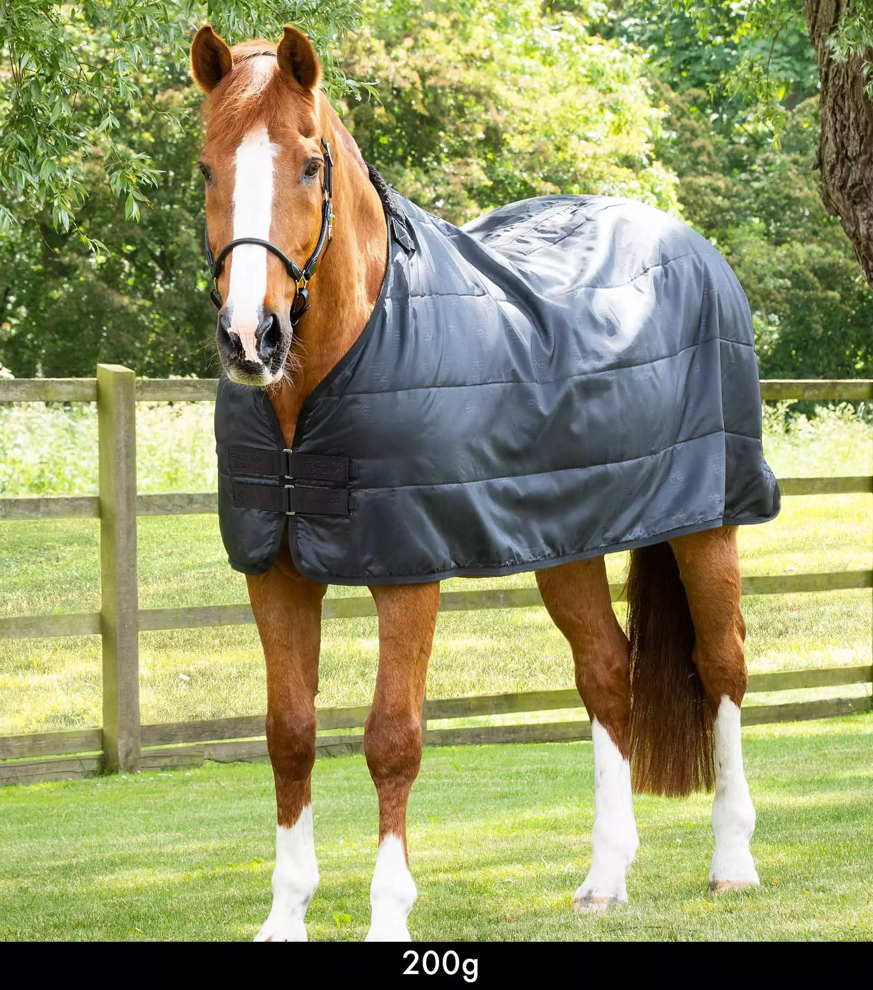 Premier Equine 200g Horse Rug Liner 19 Premier Equine 200g Horse Rug Liner - Image 17