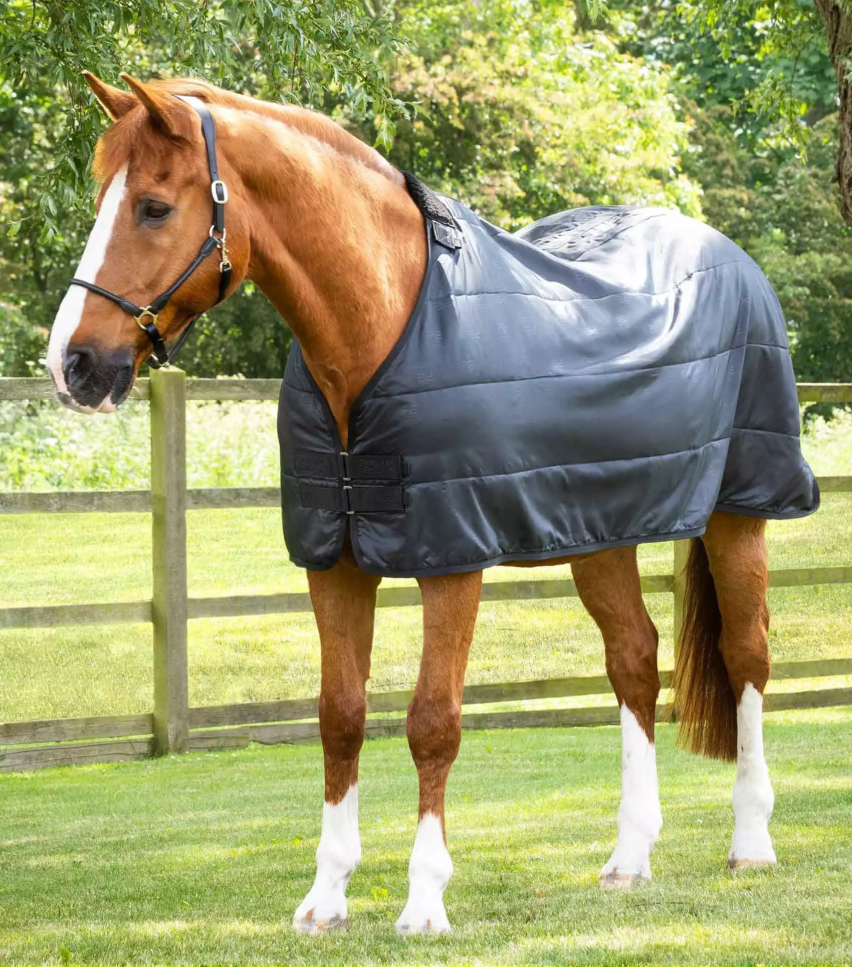 Premier Equine 200g Horse Rug Liner 15 Premier Equine 200g Horse Rug Liner - Image 13