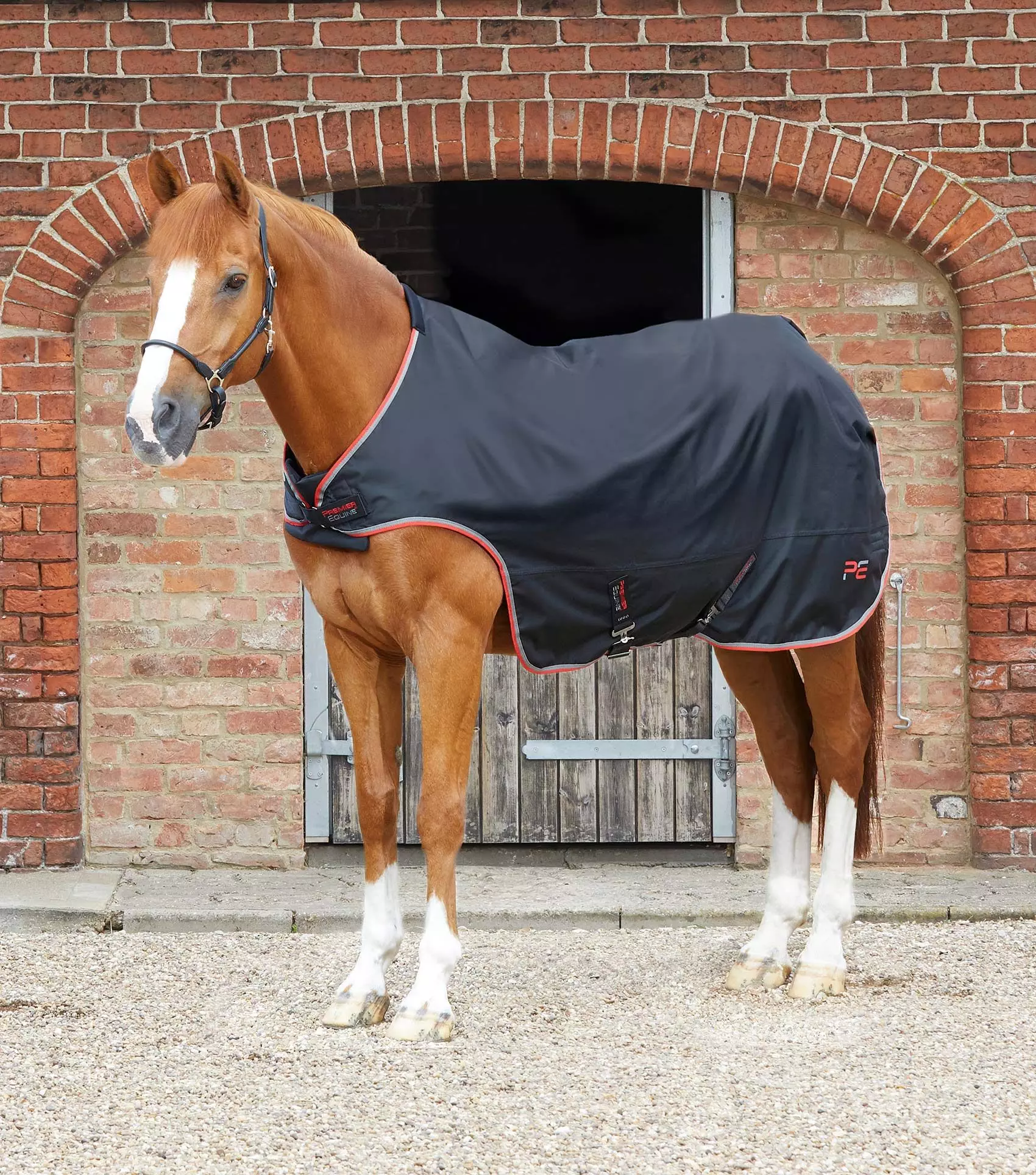 Premier Equine Horse Walker Rug 100g 11 Premier Equine Horse Walker Rug 100g - Image 9