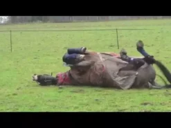 Equilibrium Equi-Chaps Hardy Chaps -Finest Equestrian Supplies hqdefault 2 10 5 jpg