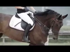 EGO7 Orion Tall Boots -Finest Equestrian Supplies hqdefault 2 32 9 jpg