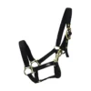 Hy Fieldsafe Foal Head Collar -Finest Equestrian Supplies hy fieldsafe foal head collar black jpg