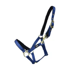 HY Fieldsafe Headcollar 21 HY Fieldsafe Headcollar -Finest Equestrian Supplies hy fieldsafe foal head collar navy 1 jpg