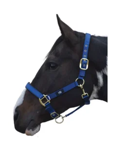Hy Grand Prix Head Collar -Finest Equestrian Supplies hy grand prix head collar blue jpg