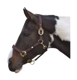Hy Grand Prix Head Collar -Finest Equestrian Supplies hy grand prix head collar chocolate jpg