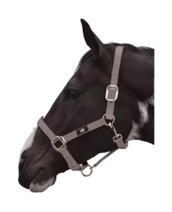Hy Grand Prix Head Collar -Finest Equestrian Supplies hy grand prix head collar grey jpg