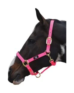 Hy Grand Prix Head Collar -Finest Equestrian Supplies hy grand prix head collar hot pink 1